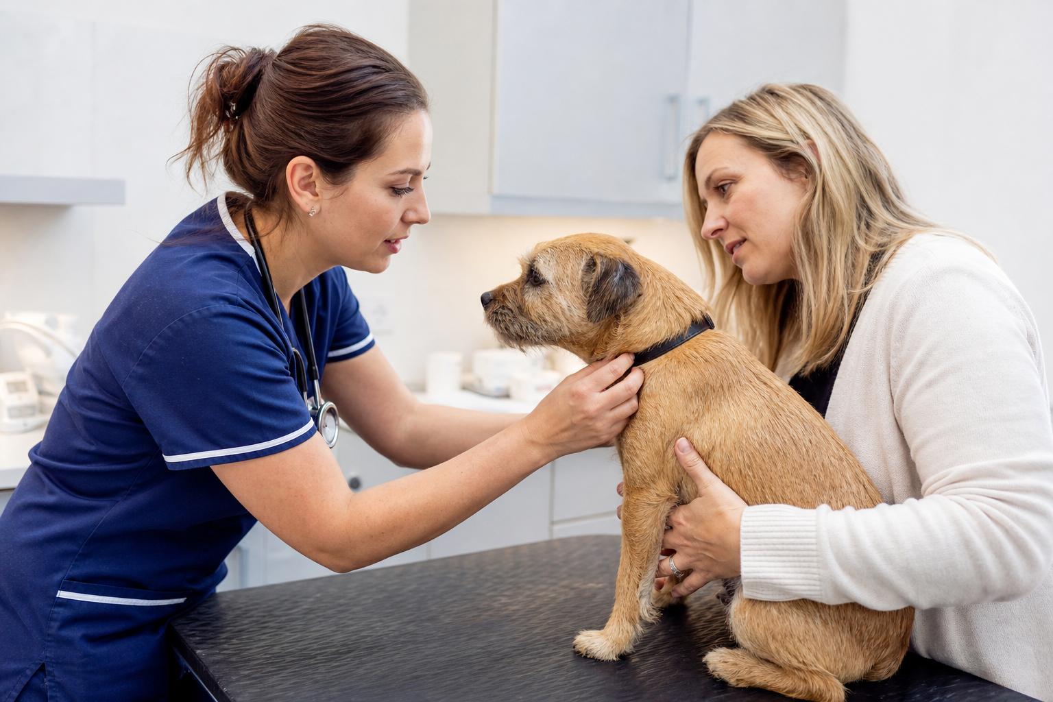 Dog VIP Plan Benefits for Dartford Owners
